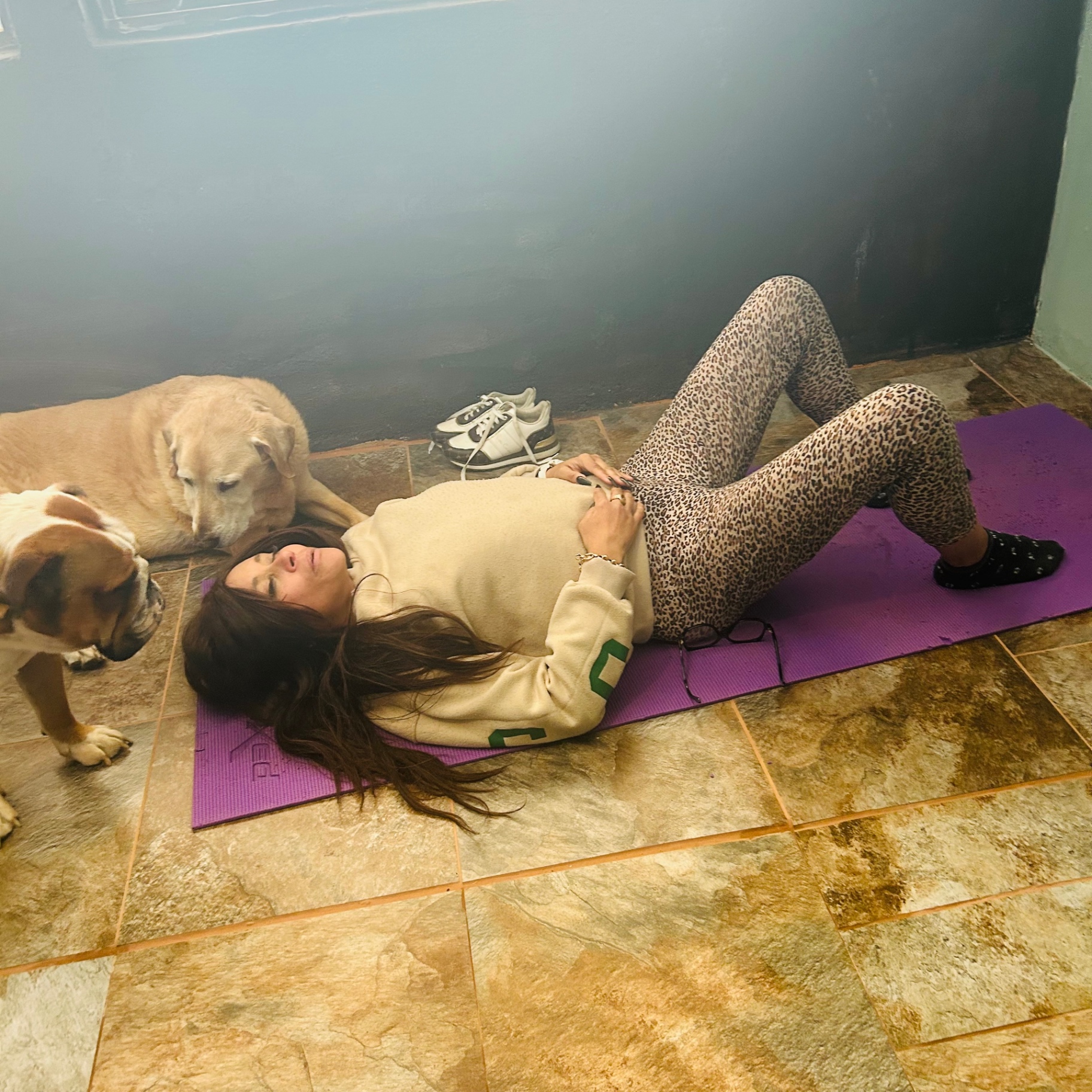 Cass flat on her back on a purple yoga mat, leopard leggings, Benjamin the bulldog nuzzling her hair, senior labrador beside her.