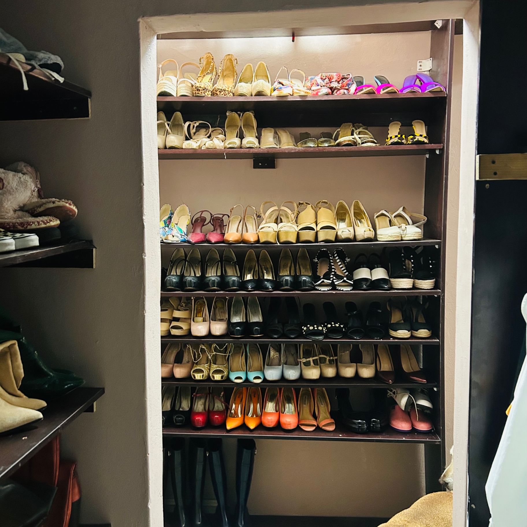 Cass's shoe cupboard — shelves of heels in leopard, gold, coral, black, nude, and pastel, a lifetime of shoes lined up