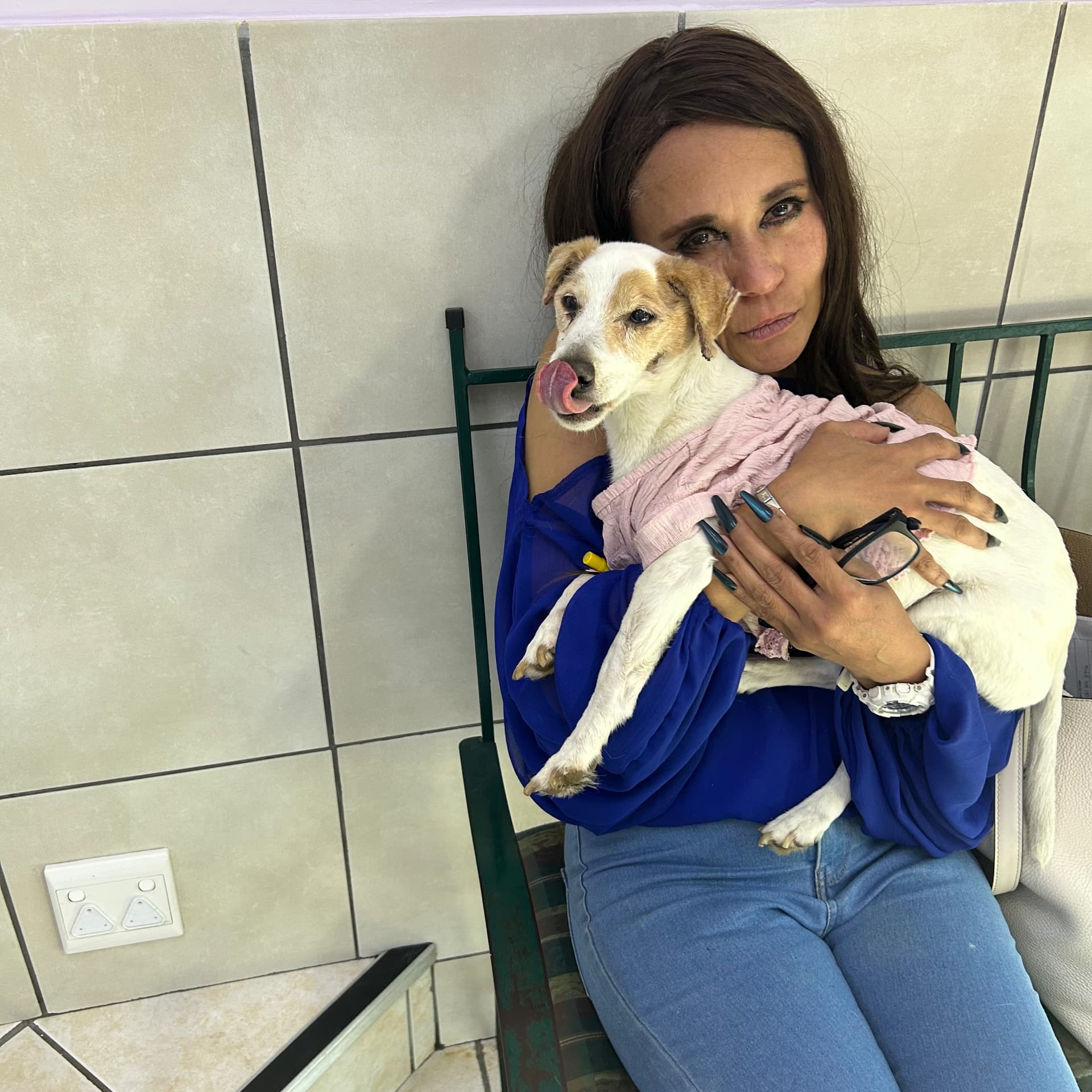 Cass holding Sarah Jessica, a small white-and-tan Jack Russell in a pink dress, at the vet