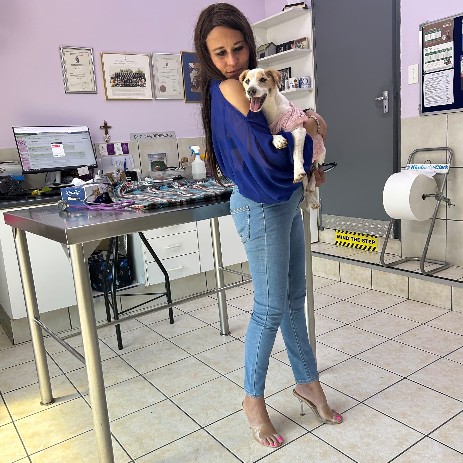 Cass in a cobalt blouse and clear heels holding Sarah Jessica in the vet's consulting room