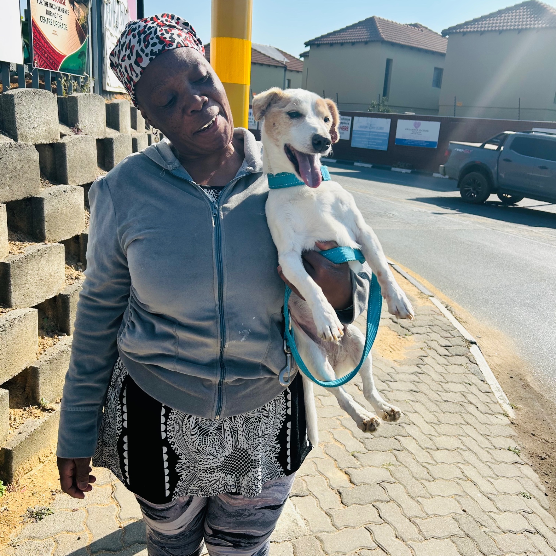 Ntombi carrying Sarah Jessica the white Jack Russell on a sunny Johannesburg pavement