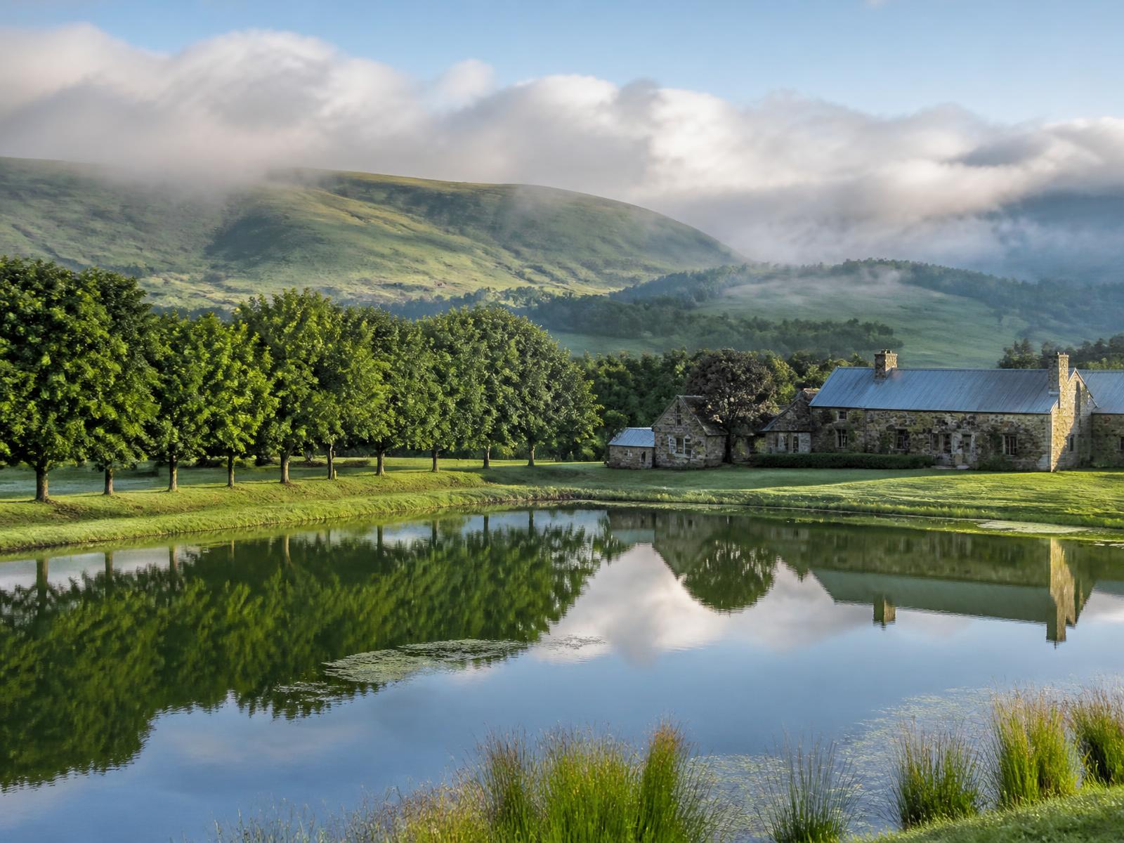 A misty highland farm in Dullstroom, Mpumalanga with oak trees and a trout dam
