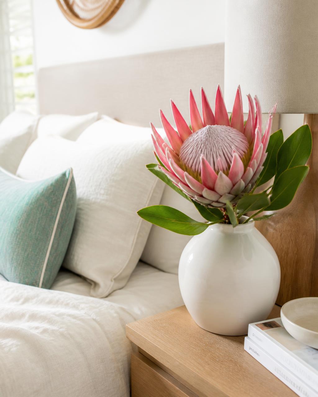 A pink South African queen protea in a white vase on a bedroom nightstand